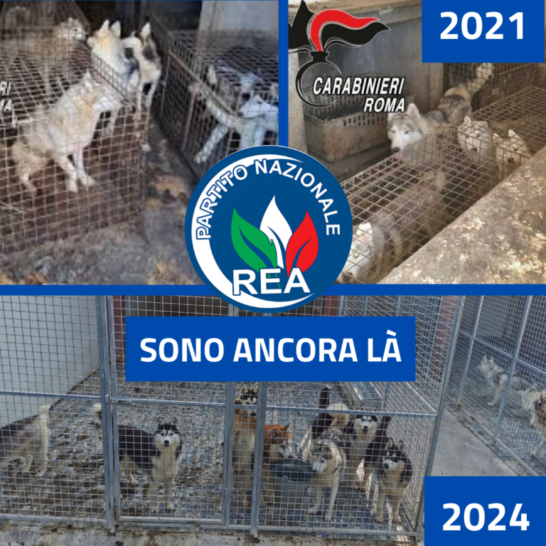 Sono ancora là