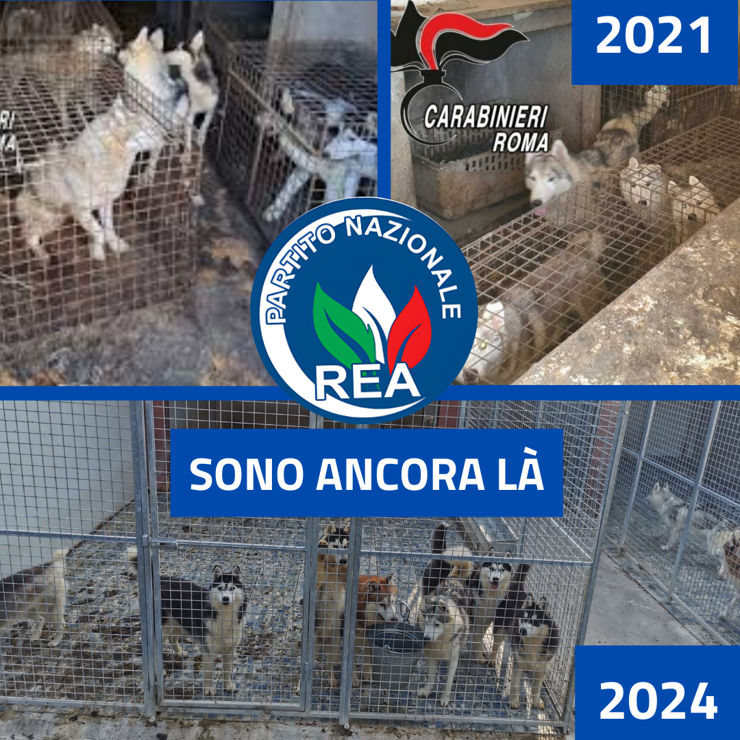 Sono ancora là