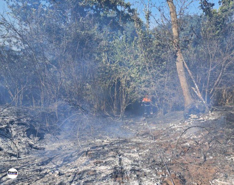 incendio bolsena confine orvieto