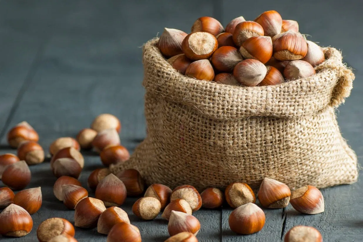 nocciole