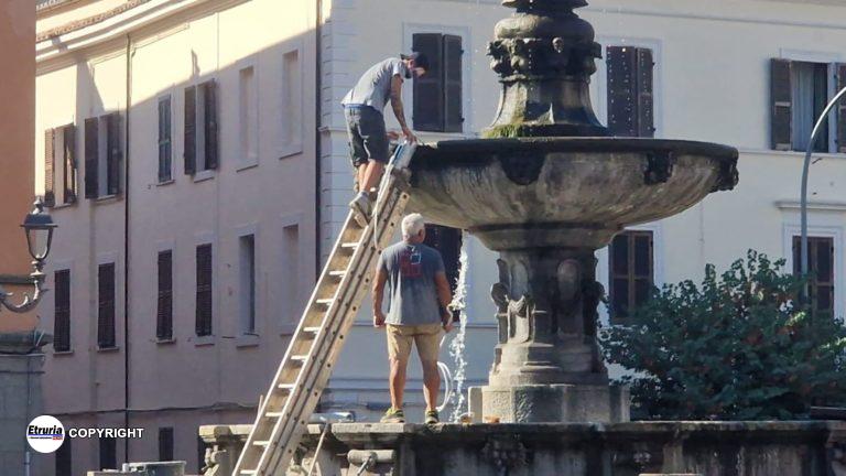 piazza della rocca 2
