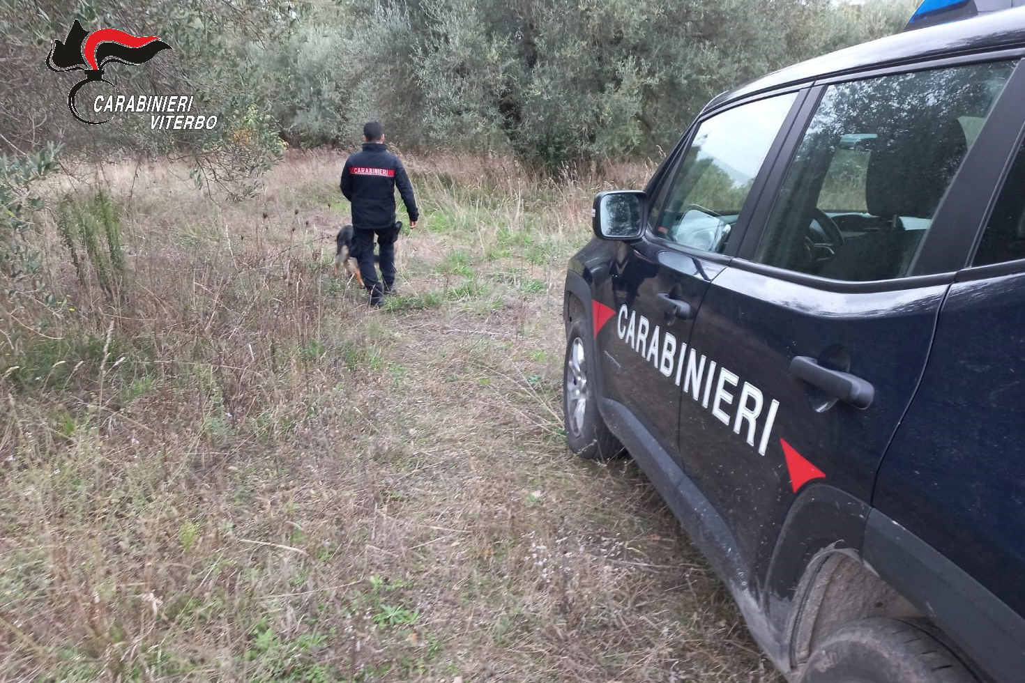 Controlli carabinieri Viterbo