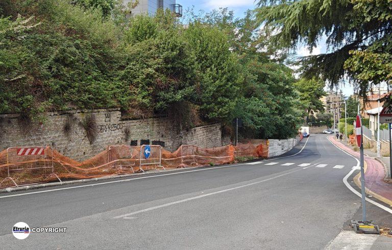muro pericolante via della pila