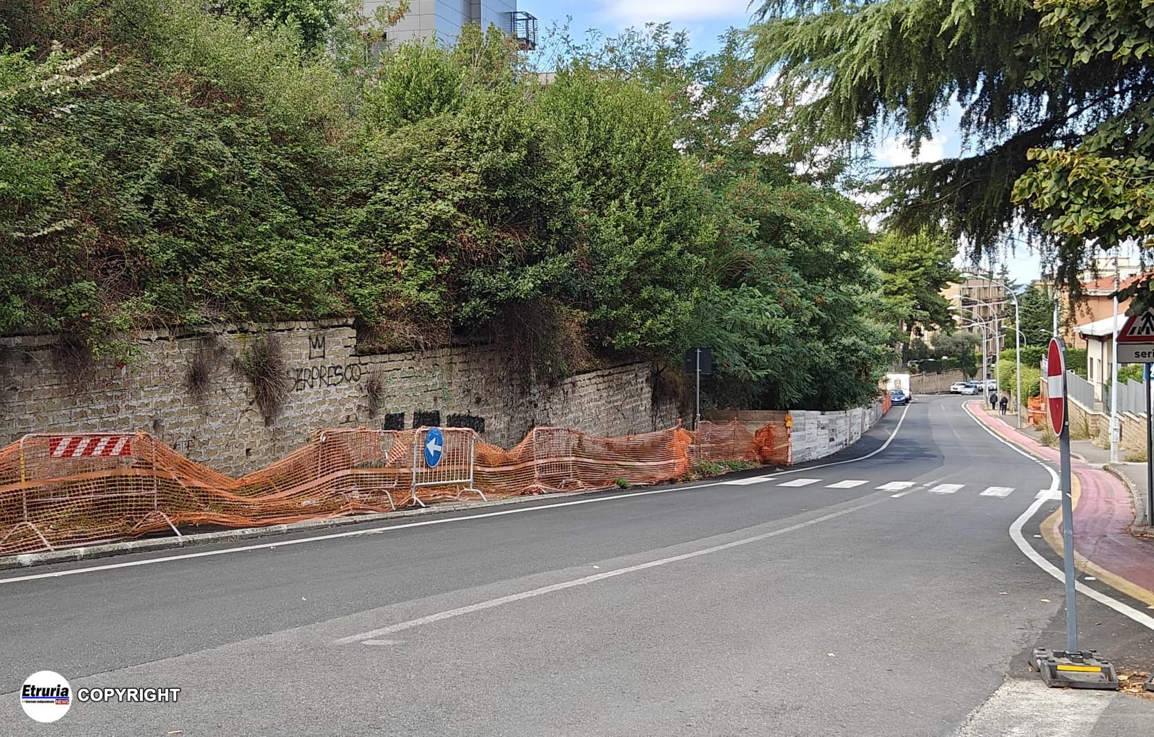 muro pericolante via della pila