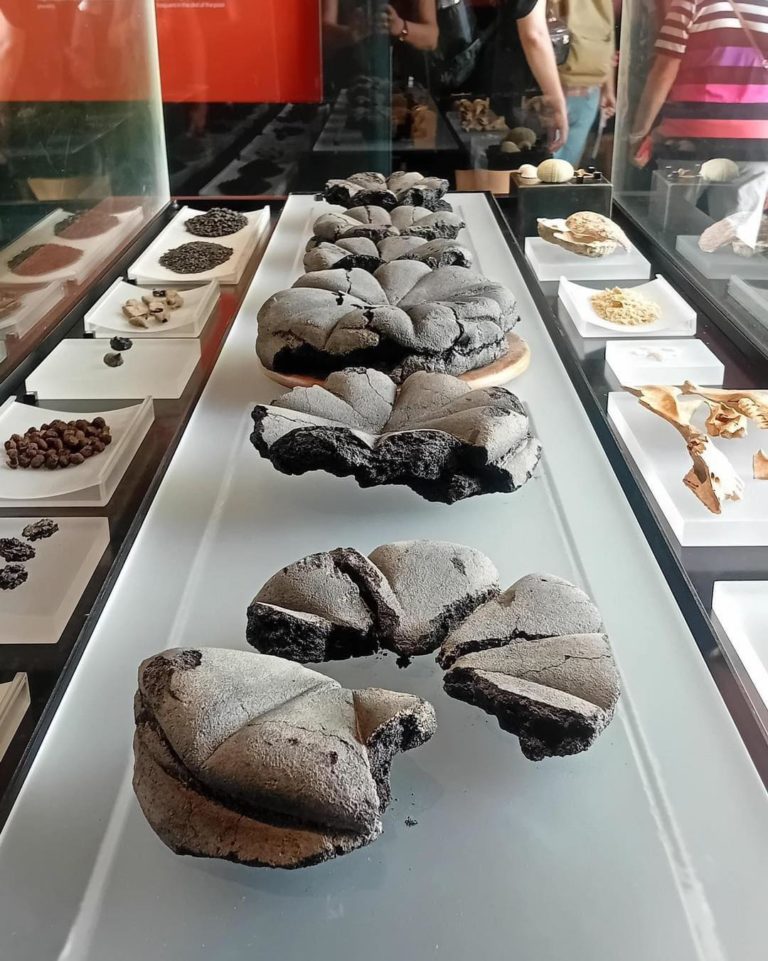 pane romano ritrovato a pompei