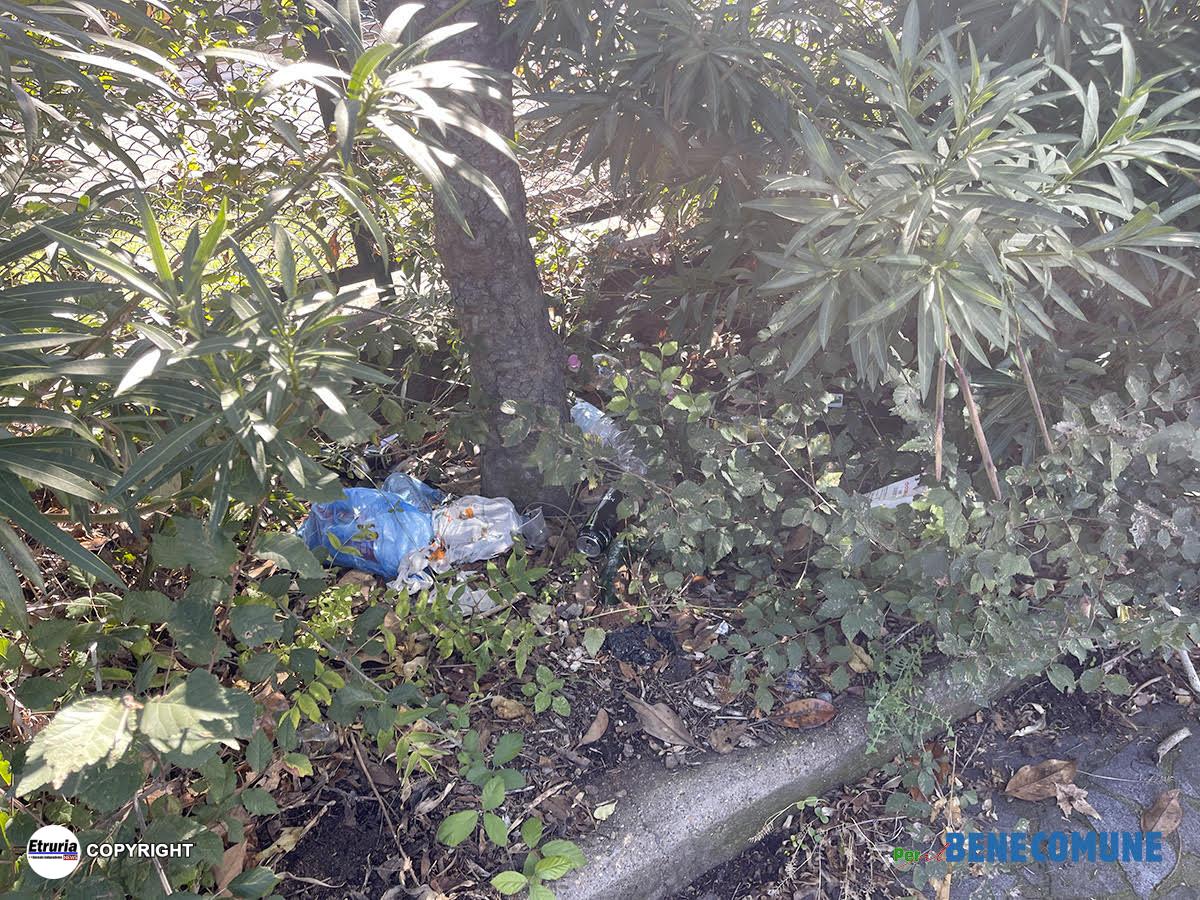 viale romiti 3