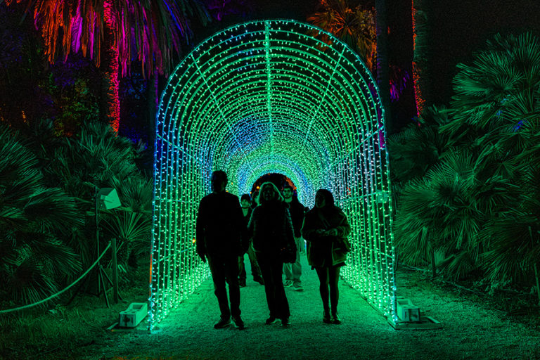 Trame di luce - installazione luminosa