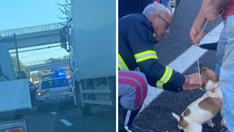 superstrada viterbo cagnolini