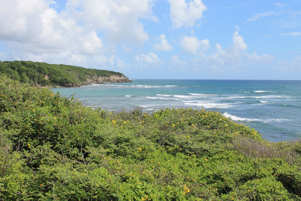 mare e macchia