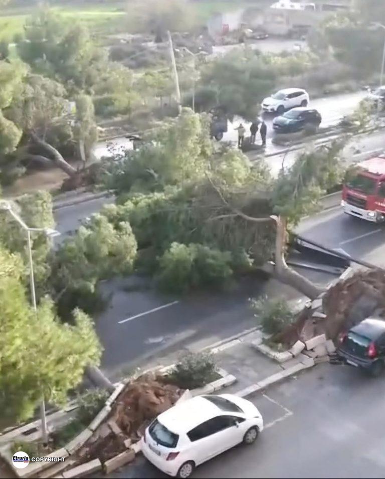 palermo tempesta vento