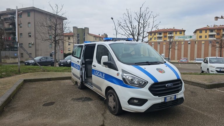 pulmino