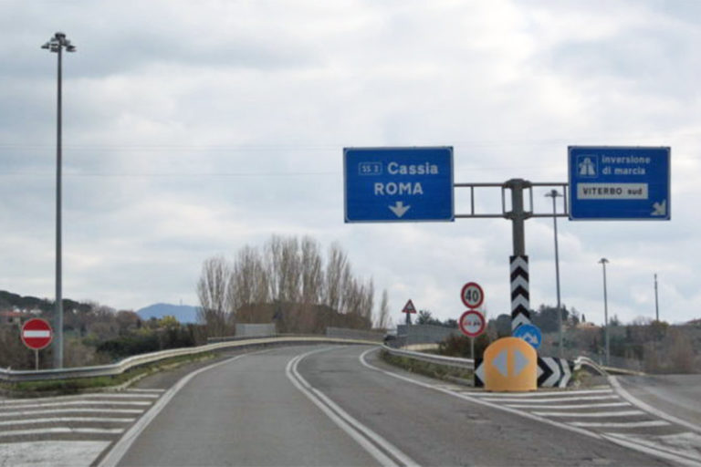 Cassia