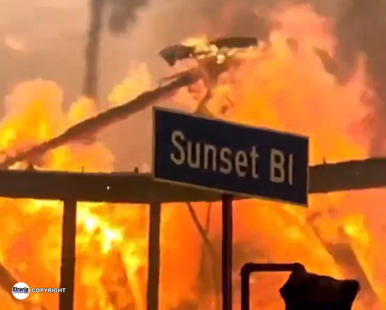 los angeles sunset boulevard