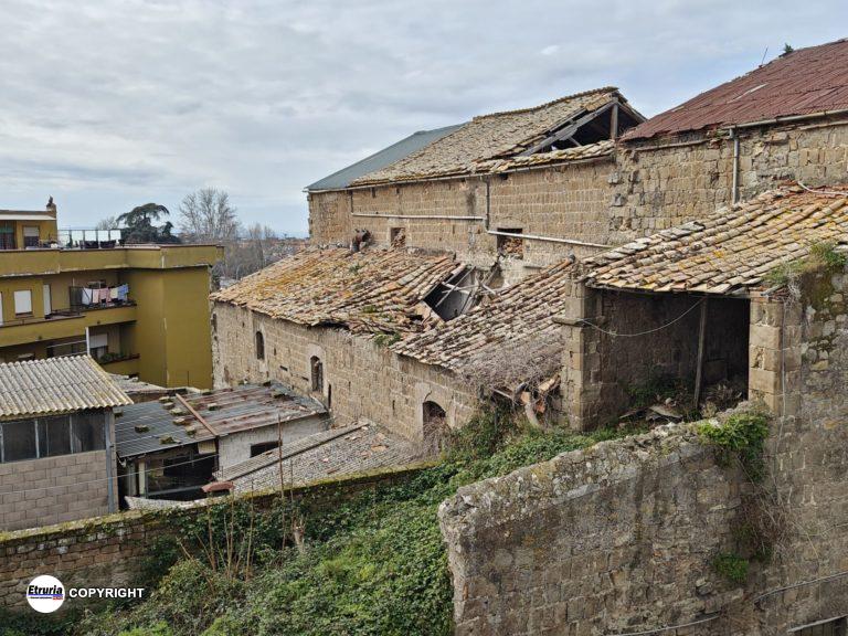 domus dei viterbo (7)