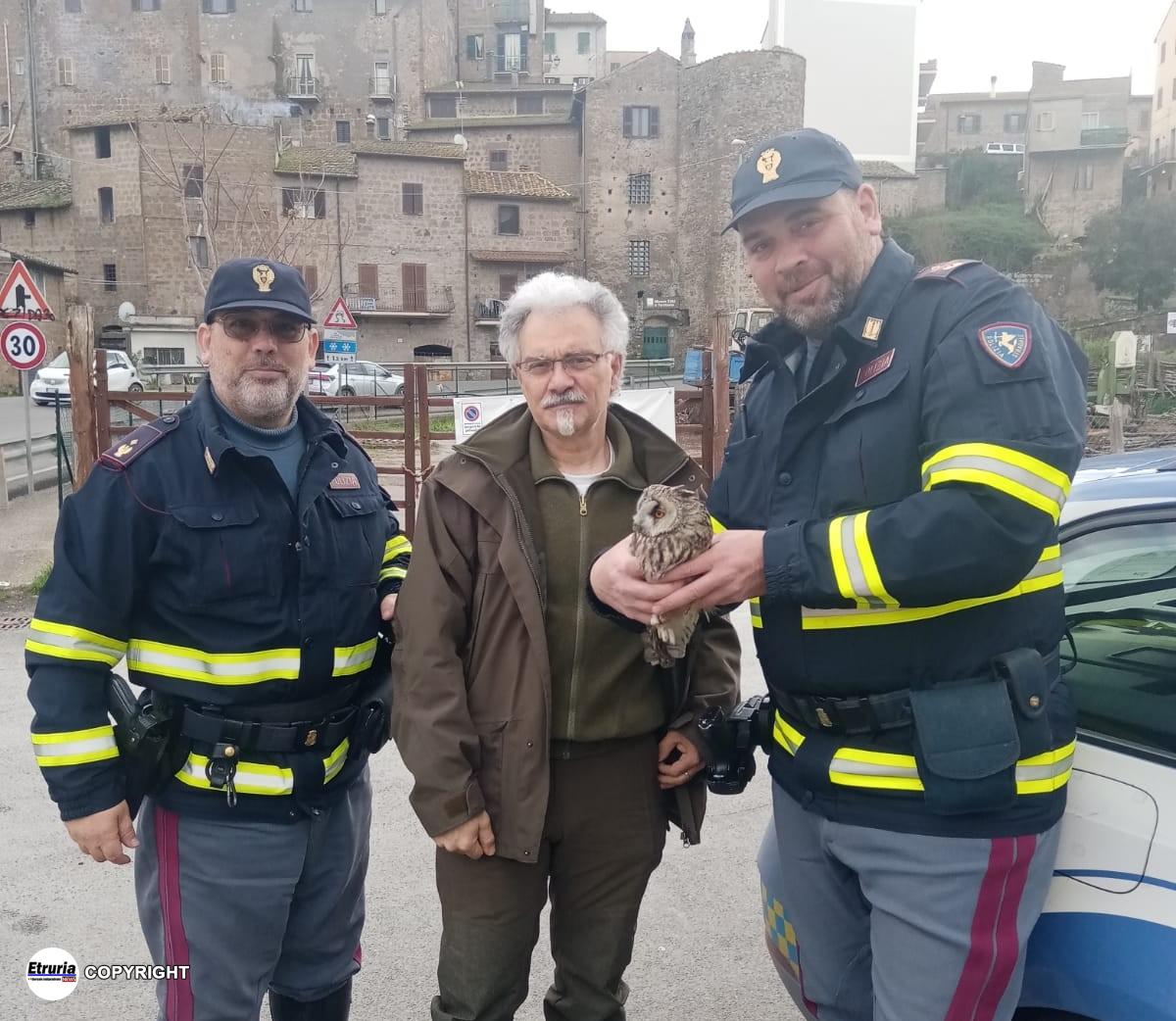 Foto Zigrino Paparozzi
