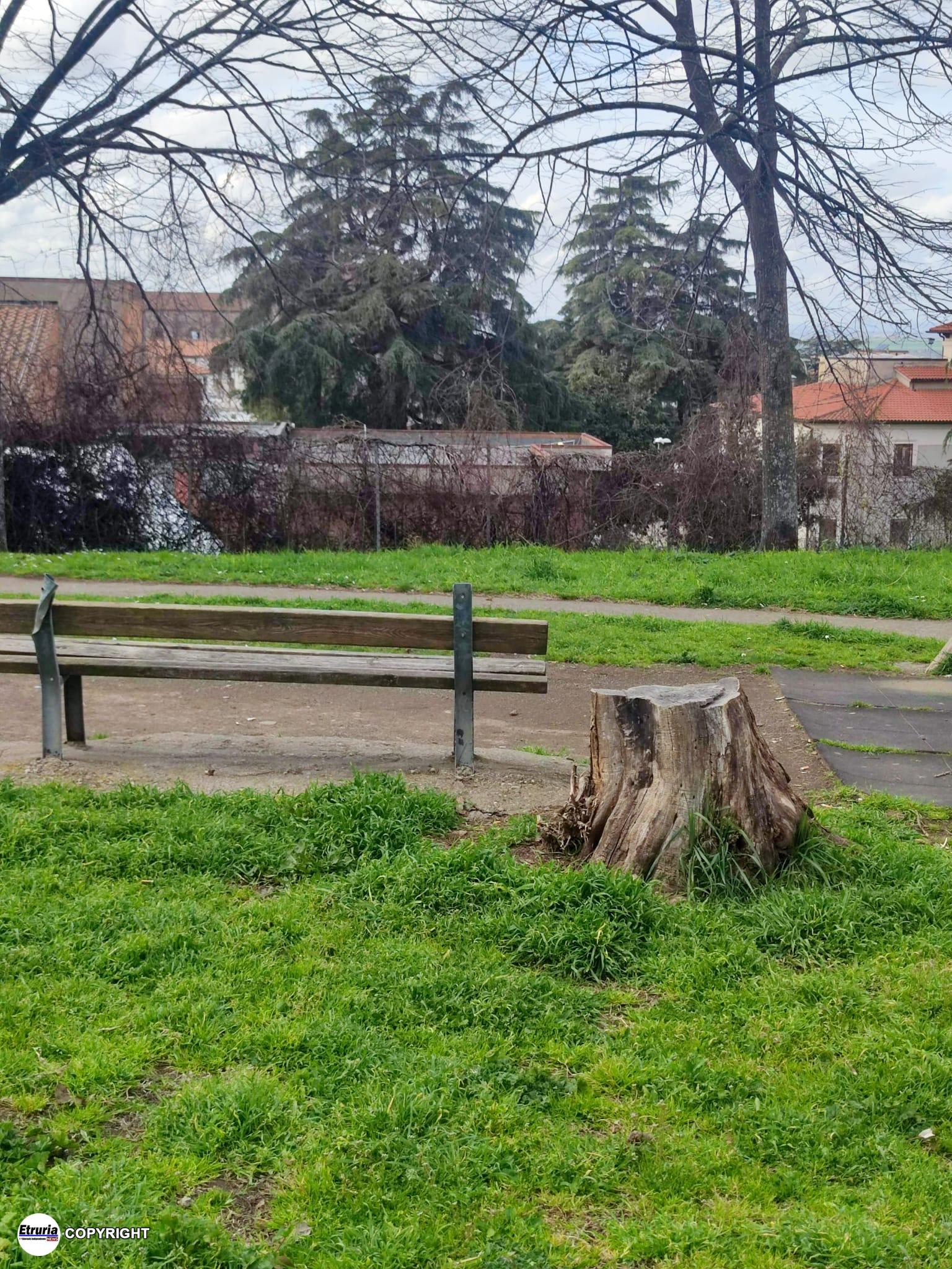 parco via cattaneo (4)