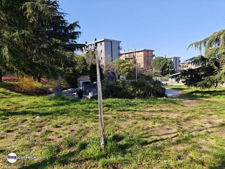 tiglio fontana a sfera
