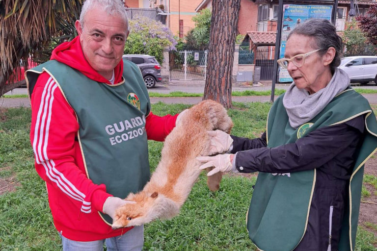 490668889_1108537694649557_1428498153534799869_n copia