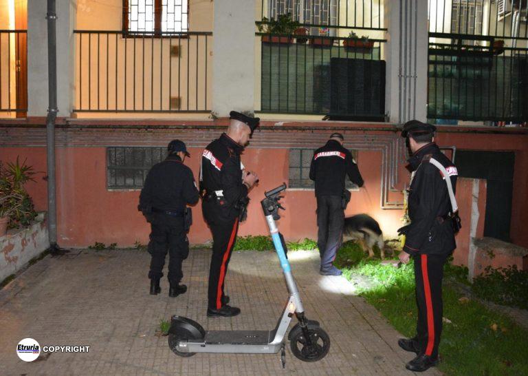 PROVINCIALE - Controlli antidroga dei Carabinieri (2)