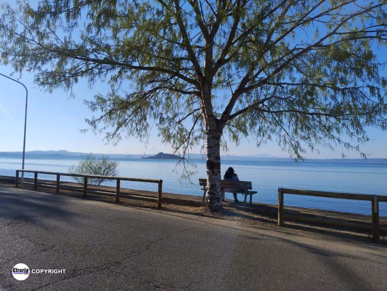 lungolago montefiascone