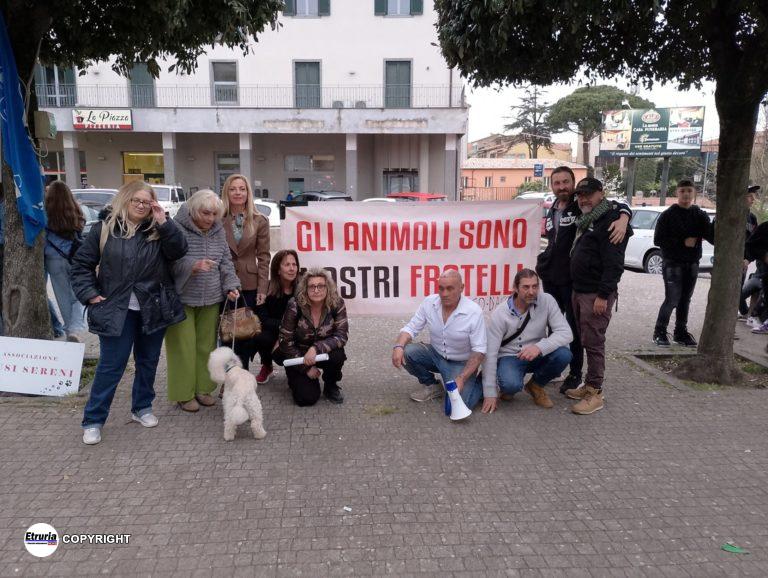 manifestazione montefiascone