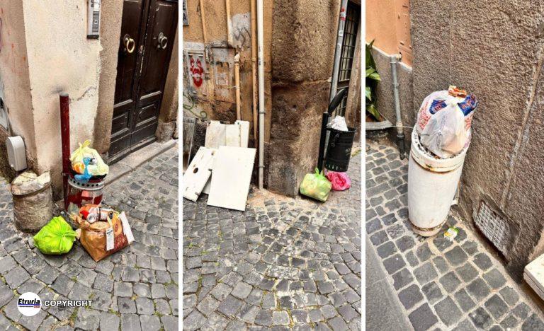 rifiuti viterbo martinengo