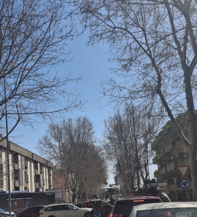 viale baccelli