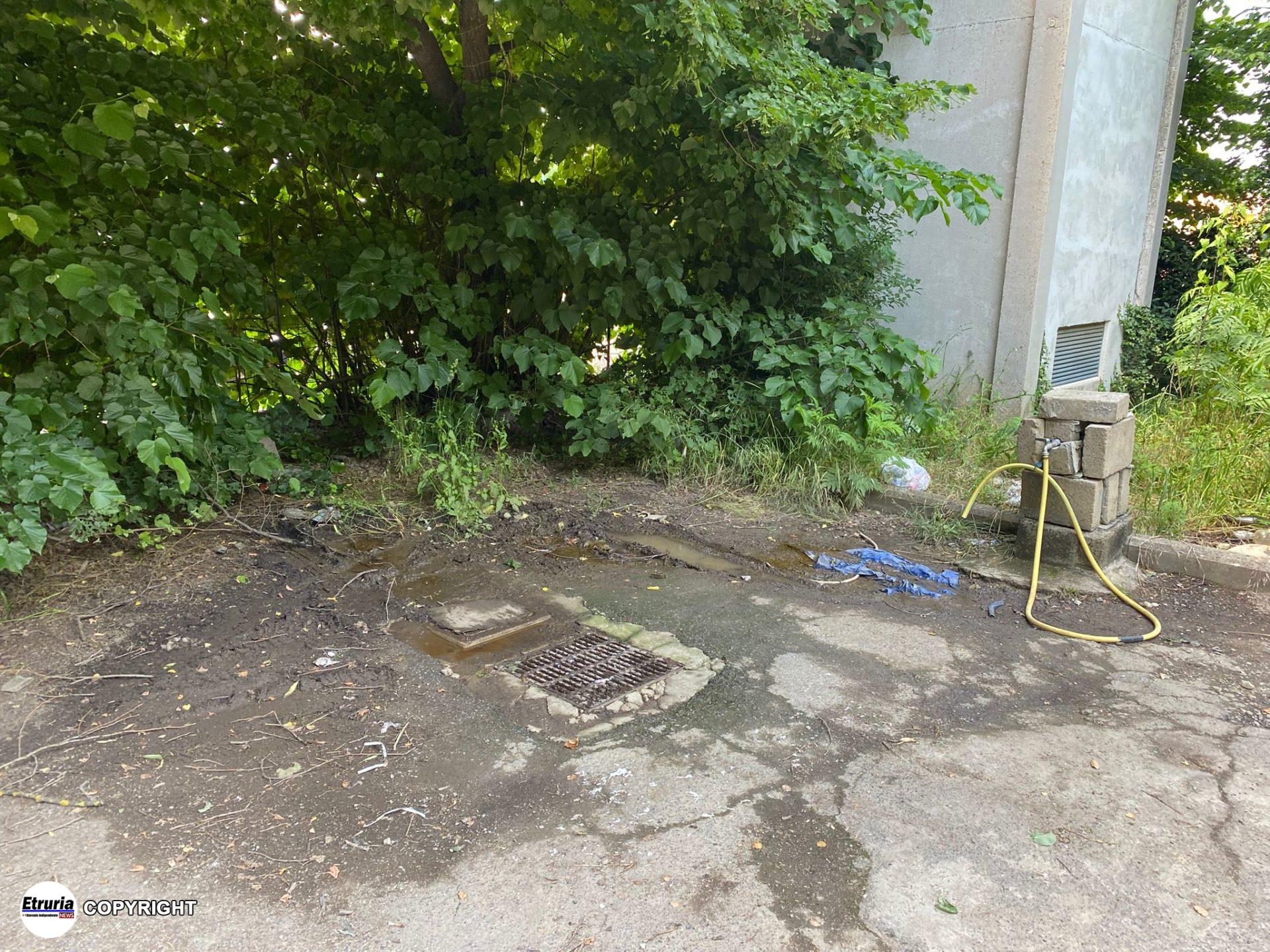 degrado