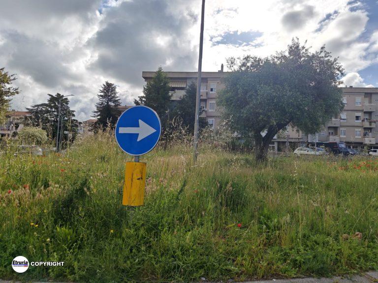 erba alta rotatoria viterbo