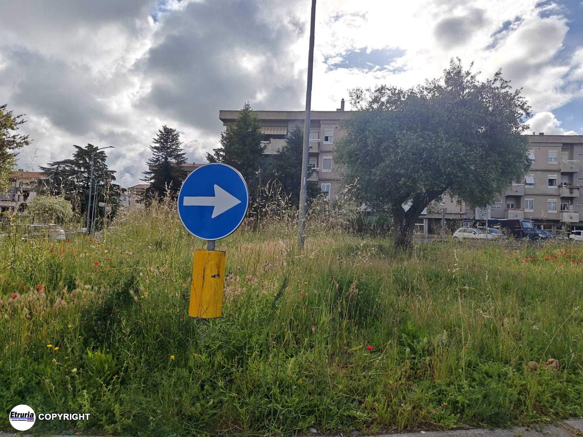 erba alta rotatoria viterbo