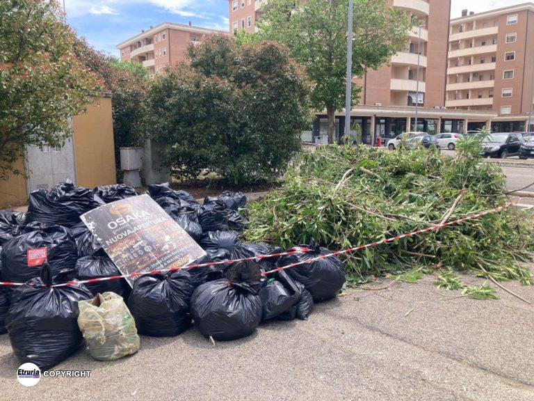 riello viterbo clean up
