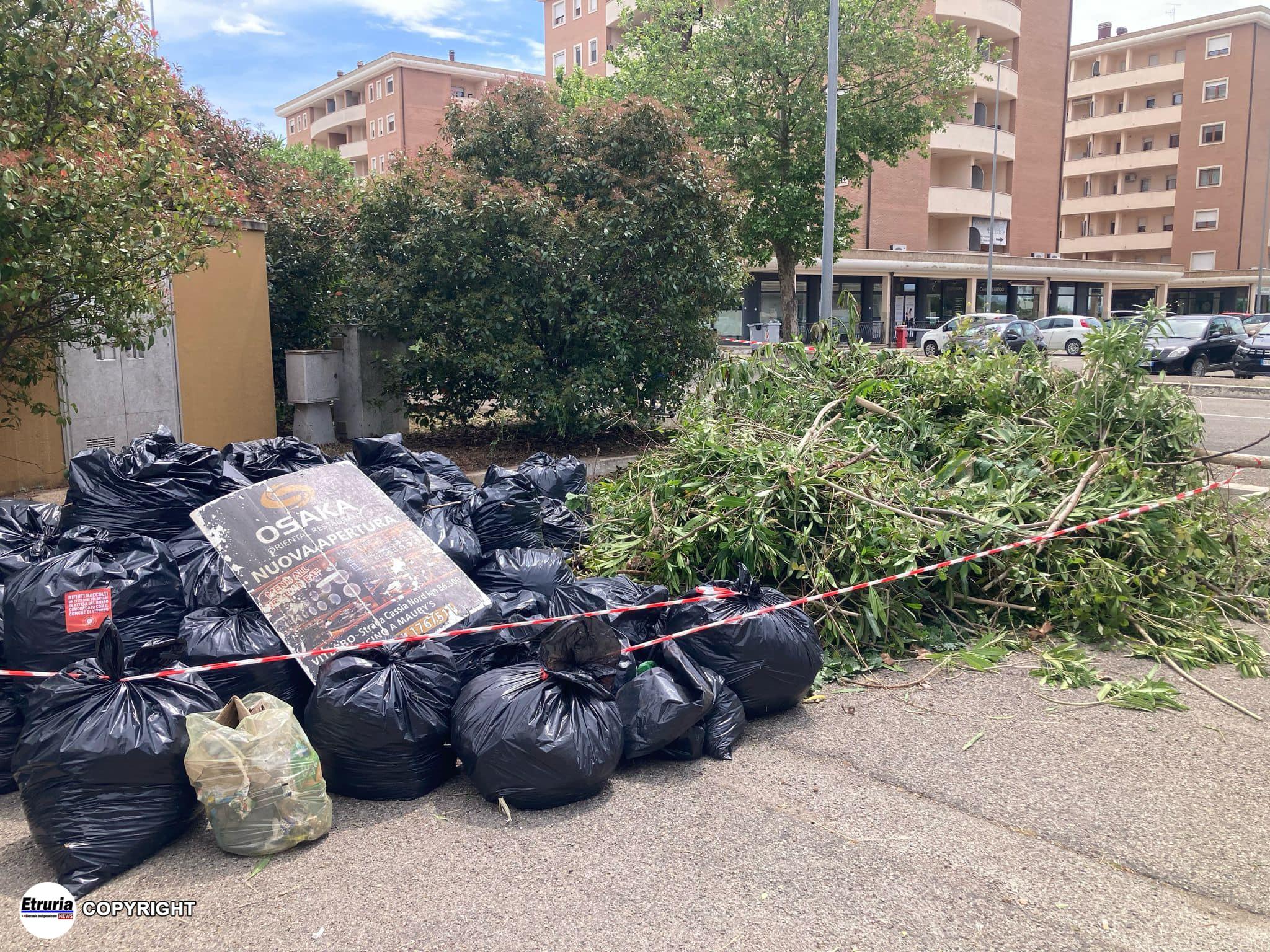 riello viterbo clean up