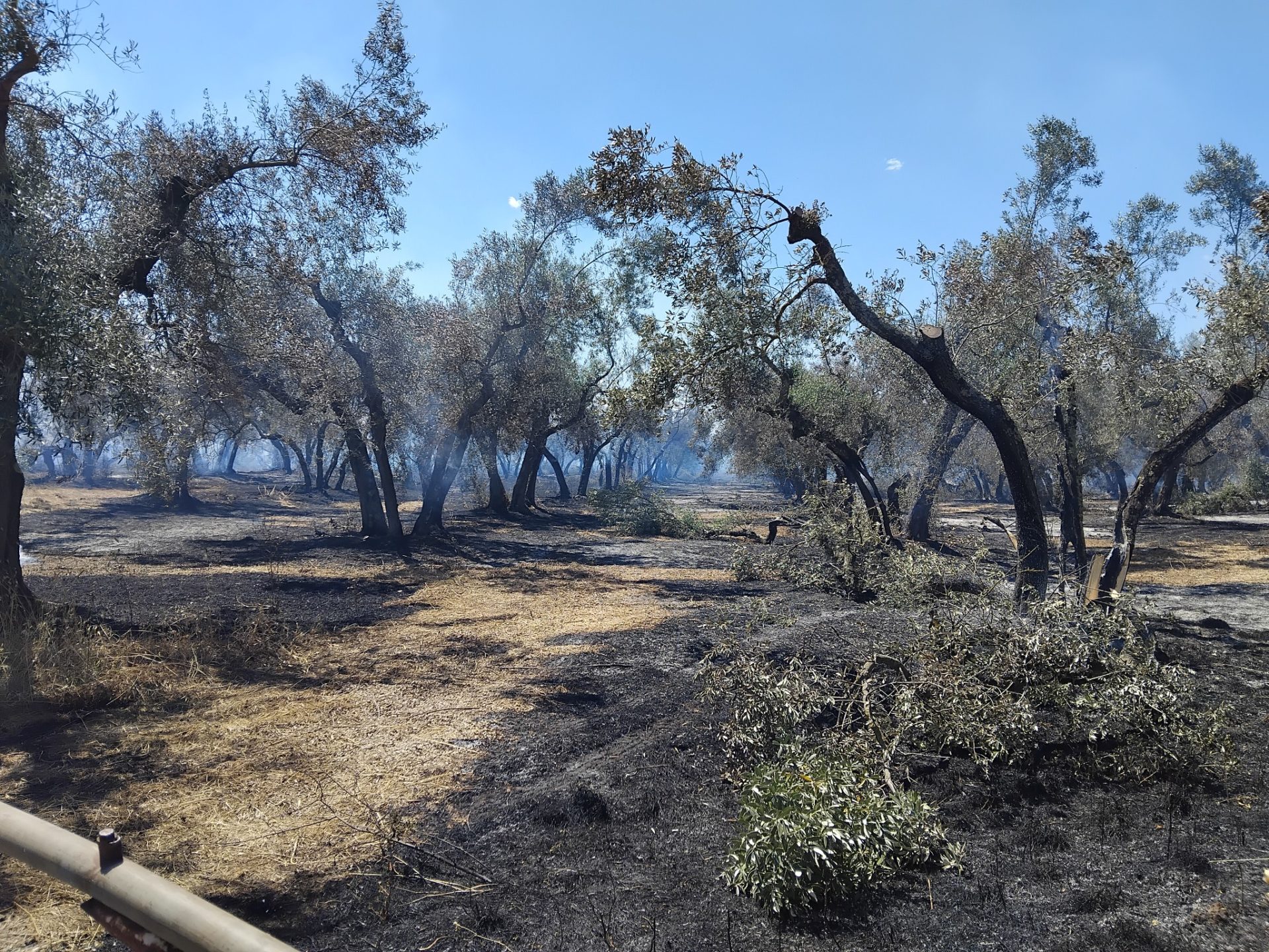 INCENDIO VETRALLA 2