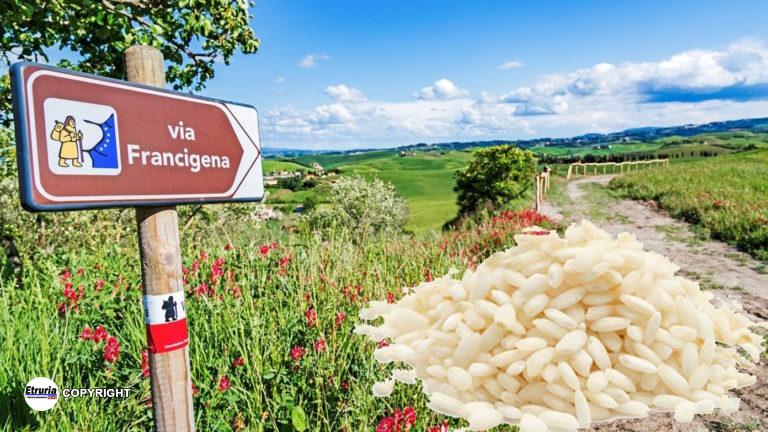 Via-Francigena-Carnaroli
