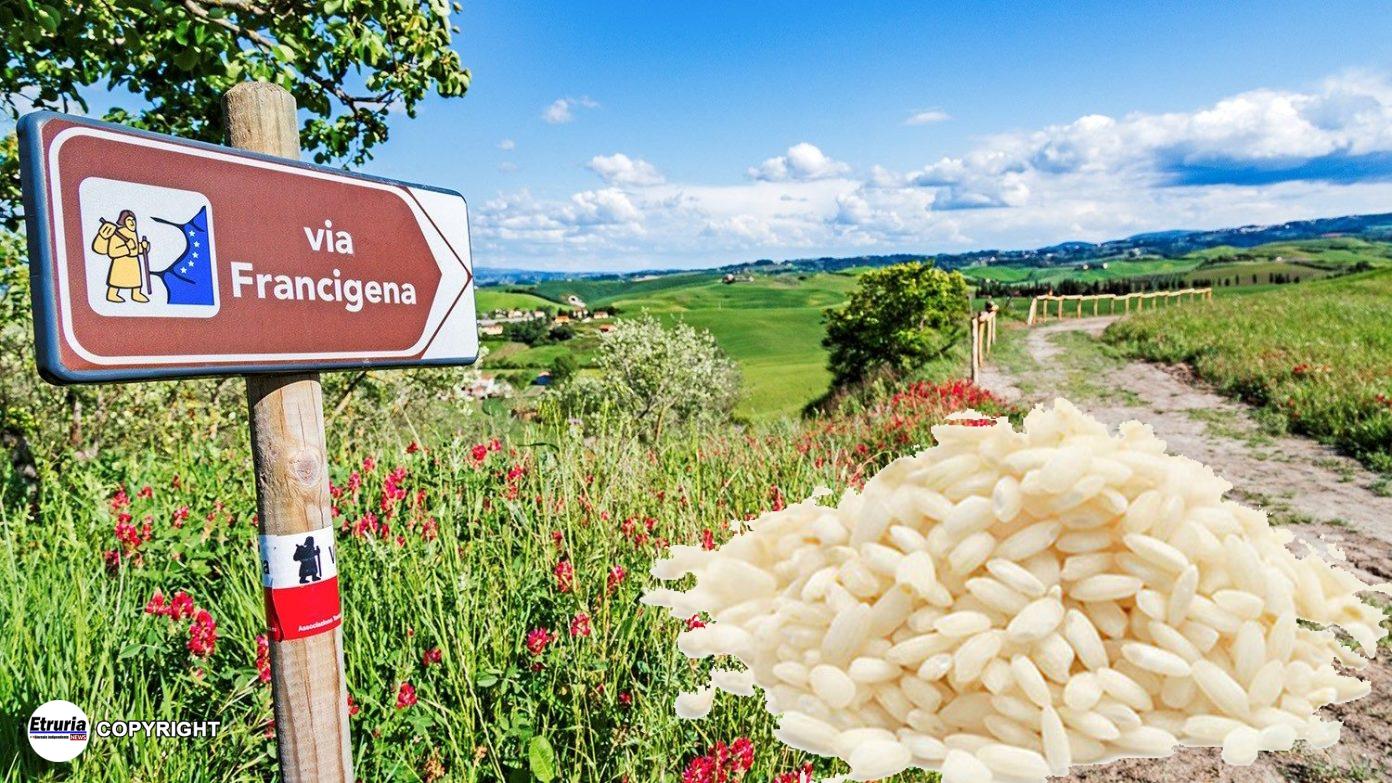 Via-Francigena-Carnaroli