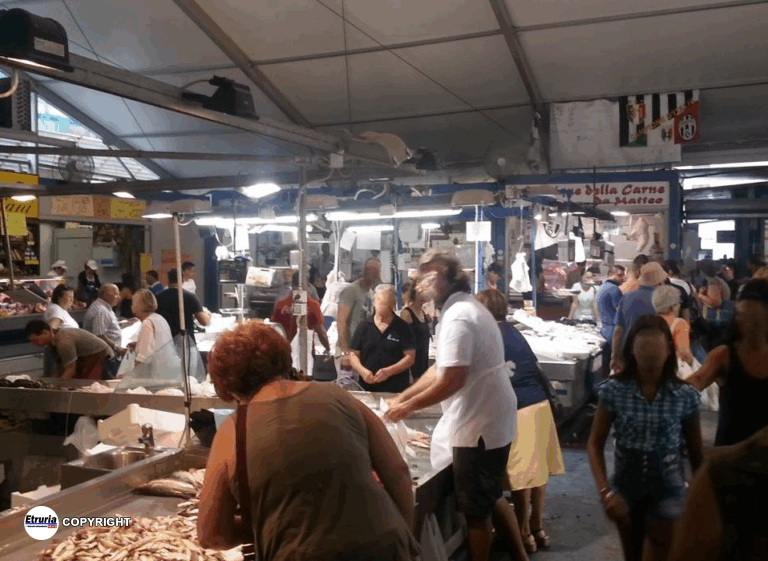 mercato civitavecchia