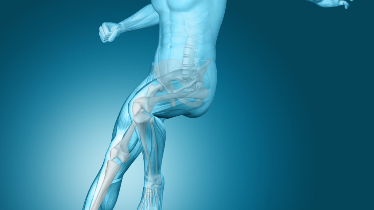 3d-medical