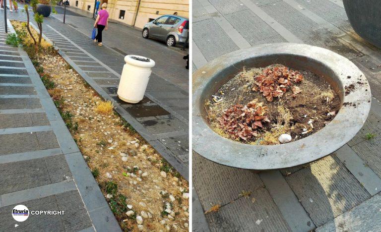 civitavecchia degrado