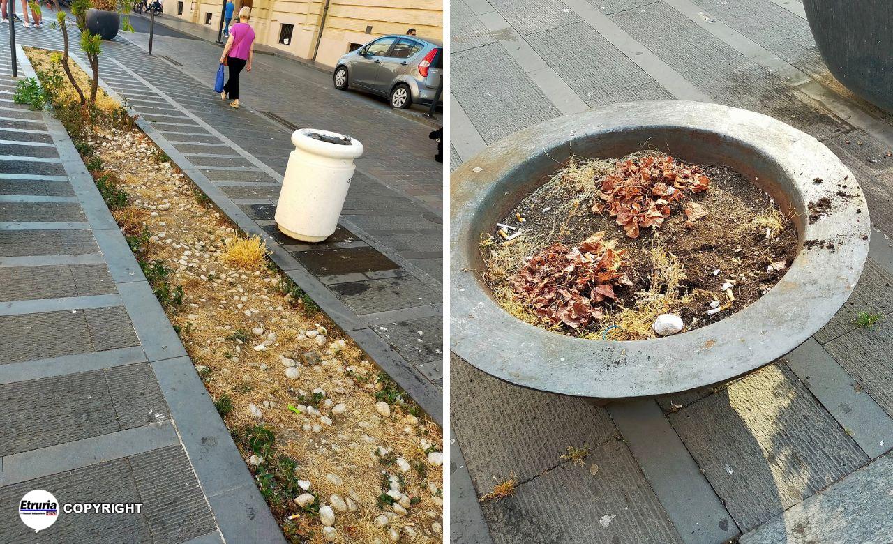 civitavecchia degrado