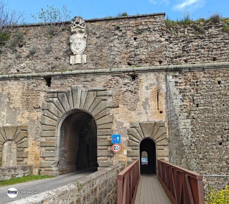 nepi porta