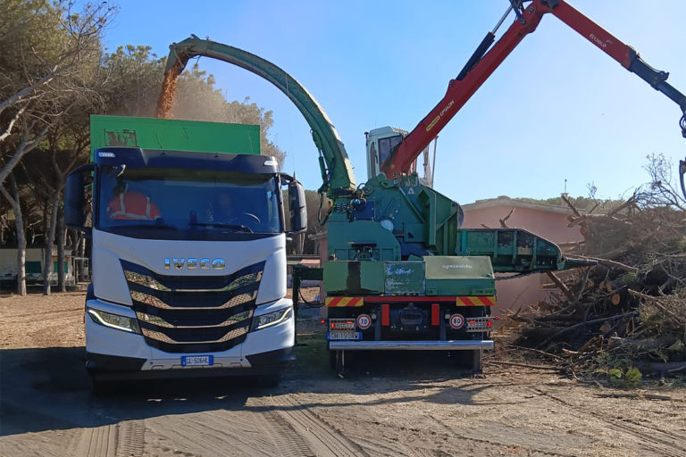 lavori agraria tarquinia copia