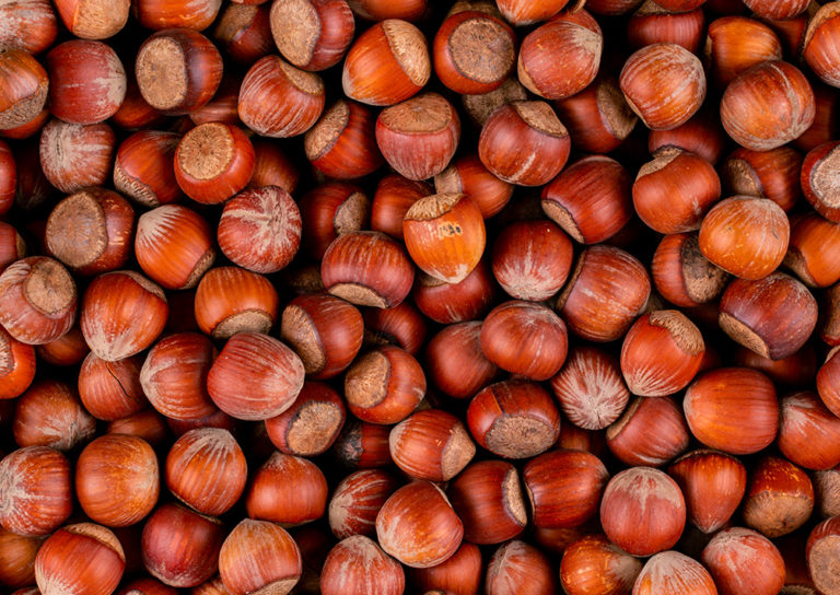 nocciole