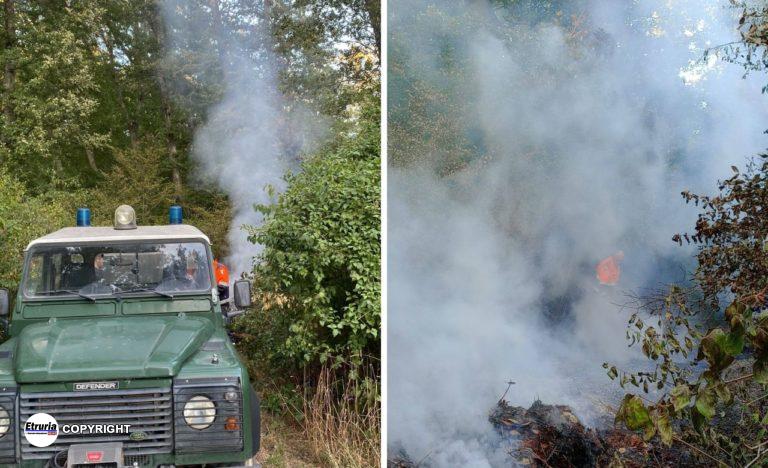 incendio blerana