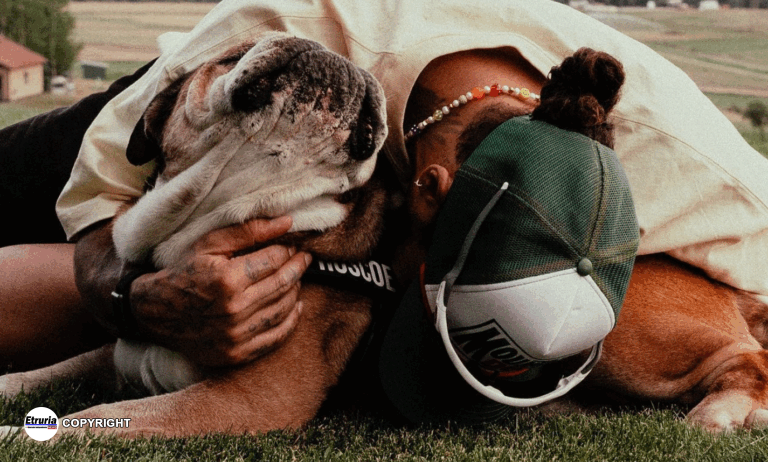 roscoe lewis hamilton