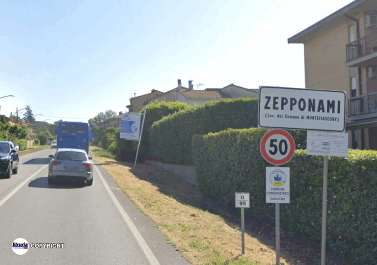 zepponami