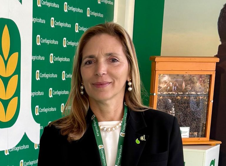 Presidente CFG Donna