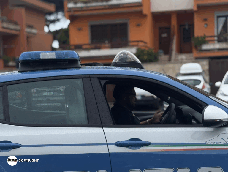 polizia gazzella
