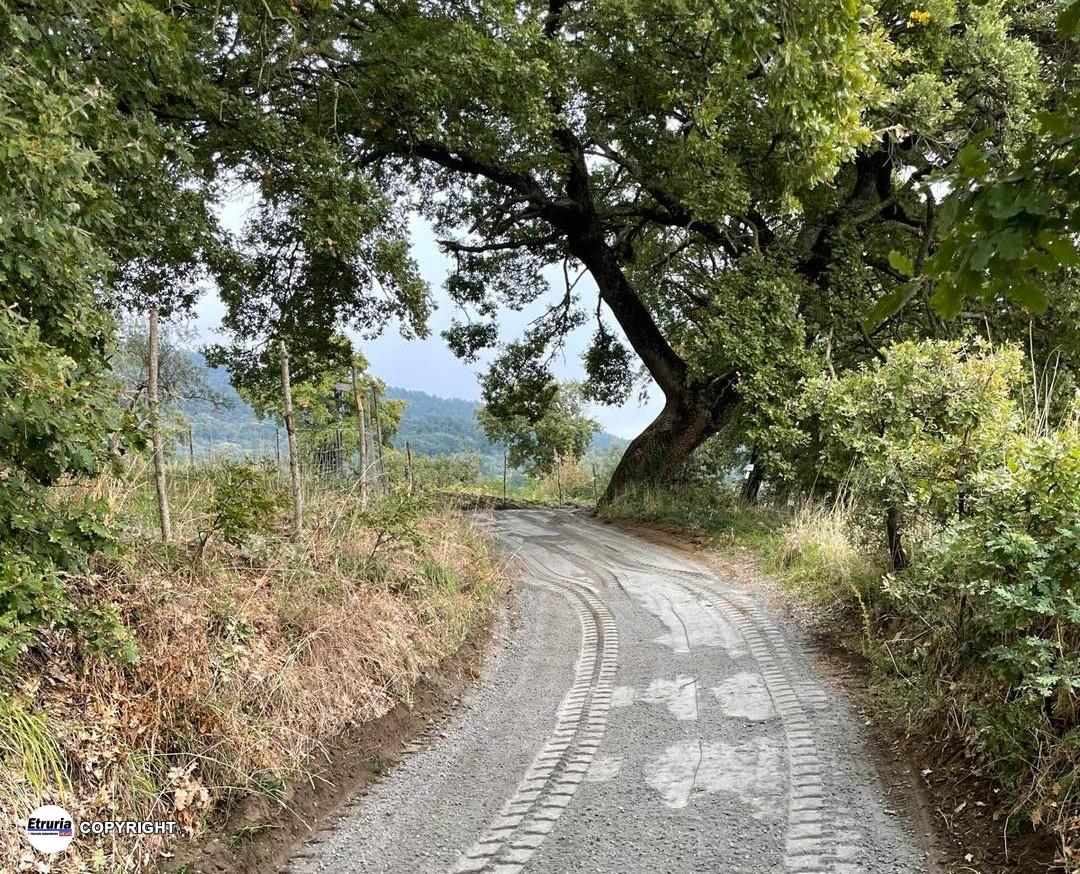 via francigena bolsena