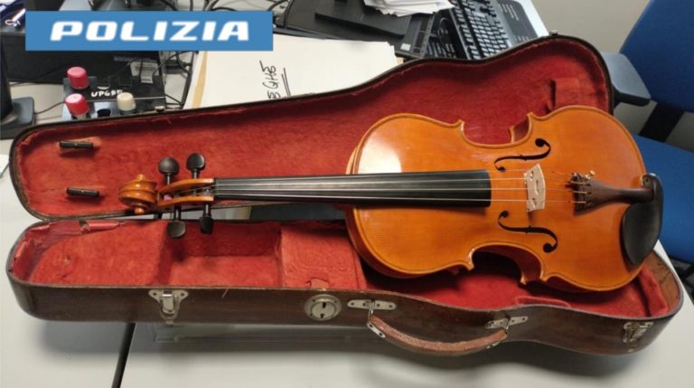 Viola