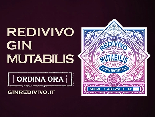 Redivivo Gin